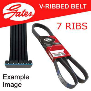 Marcos Rover V8 Alternator Belt (With PAS/AC)
